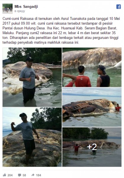 В Индонезии обнаружили тело гигантского существа