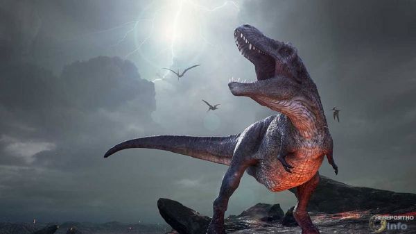 Почему Бог разлюбил динозавров?