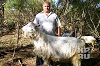 На самарской ферме живёт дойный козёл
