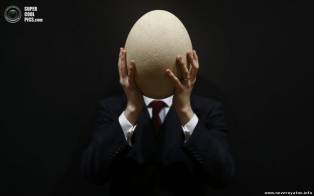 На аукцион выставленно самое большое яйцо в мире
