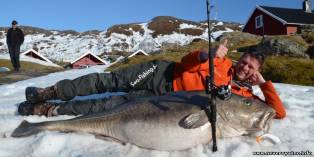 В Норвегии поймана гигантская треска