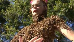 Танцующая с пчёлами