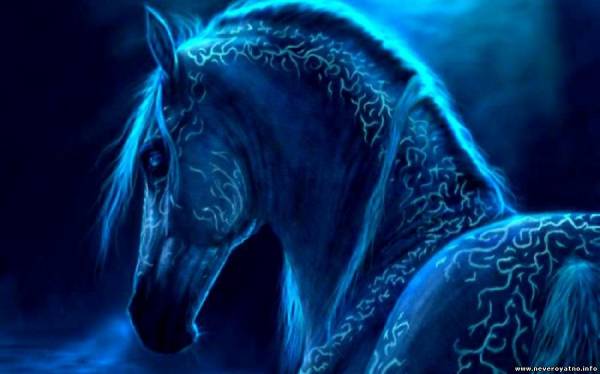А вот и я, синяя лошадь