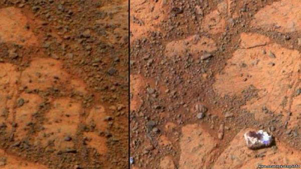 NASA скрывает жизнь на Марсе?