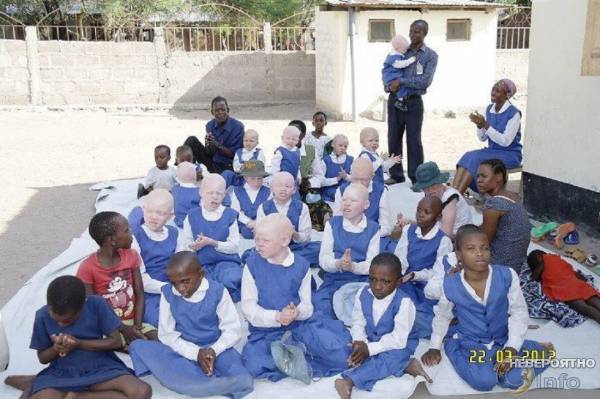 За что убивают альбиносов в Танзании (видео)