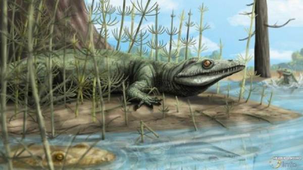 В Бразилии обнаружены останки предка динозавров