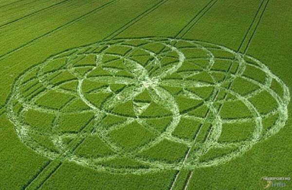 Двум фермерам удалось снять видео о том, как НЛО делают круги на пшеничном поле