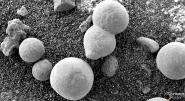 На Марсе выросли грибы