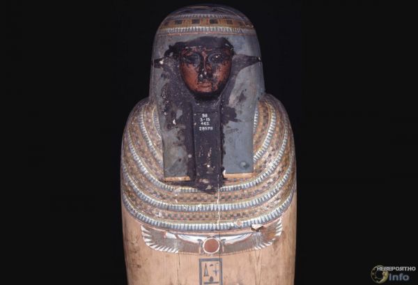 Результаты исследования чёрной жидкости из древнеегипетского саркофага