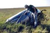В Англии в поле нашли кита (2 фото)