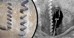 Гигантские спирали, вкрученные в землю возрастом миллионы лет