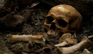 Старые кости: когда люди придумали набор «сделай сам» из человеческого скелета