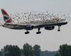 Птицы атаковали лайнер с 245 пассажирами