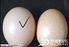 Фальшивые яйца